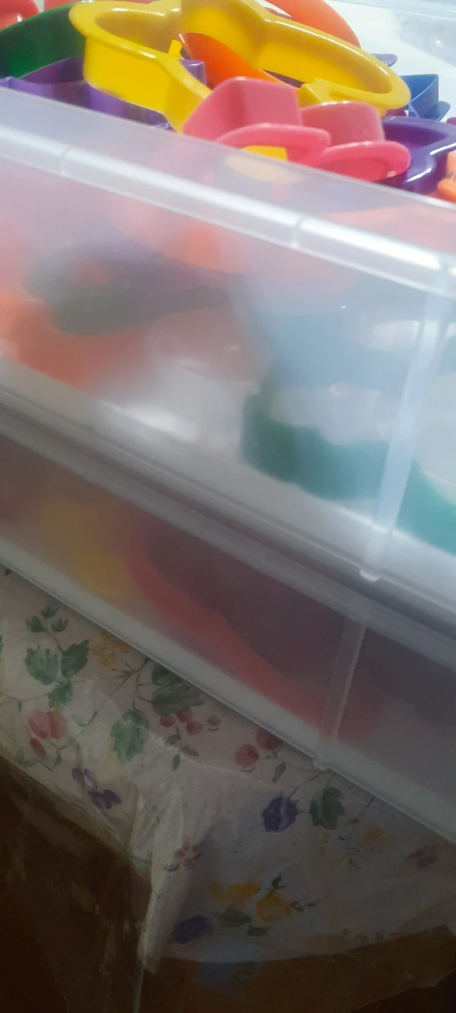 Cookie Cutters in Storage Container - photo 4