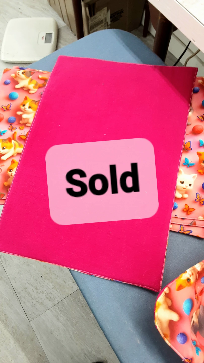 Cute Kitten Placemats - photo 2