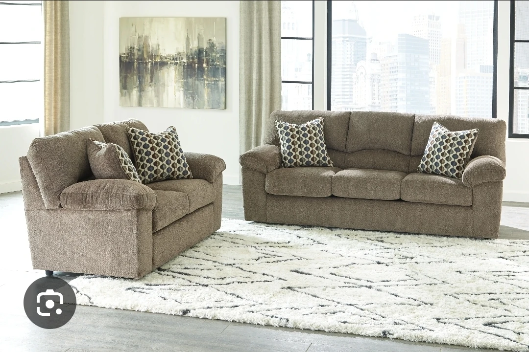 Loveseat & Sofa Set