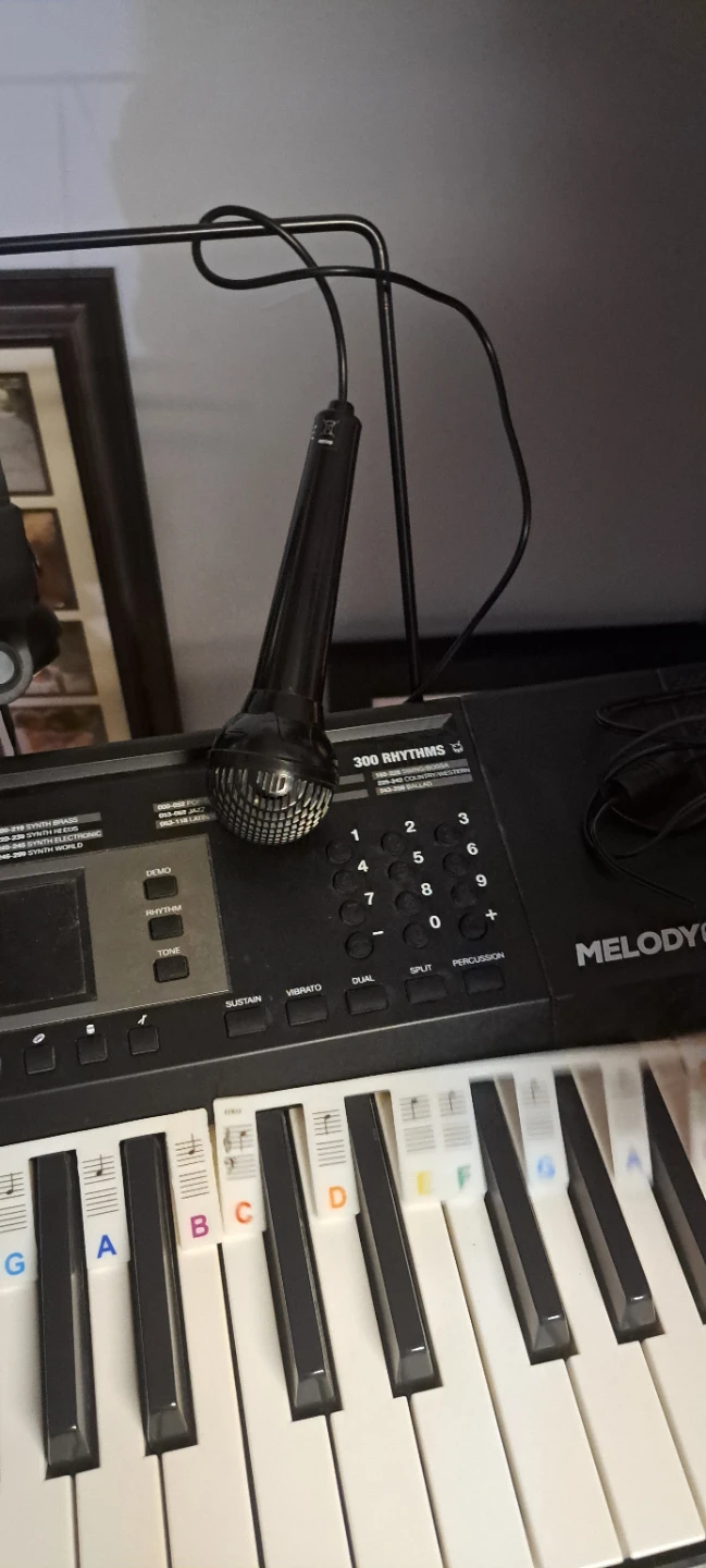 Alesis Melody 61-Key Keyboard with Microphone and Headphones - photo 3