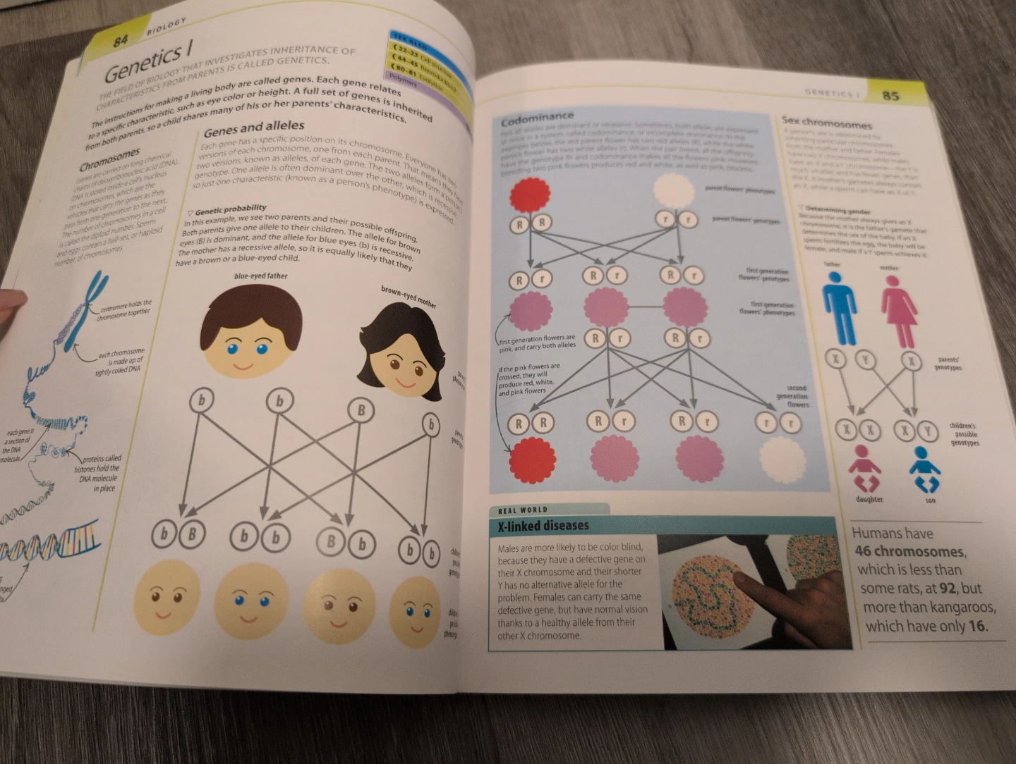 DK Help Your Kids With Math, English, Science Books - photo 5