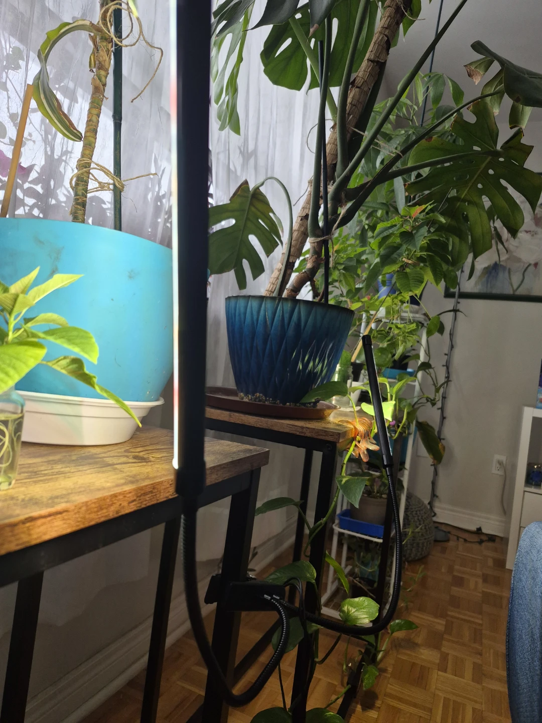 Plant Grow Light with Timer - photo 3