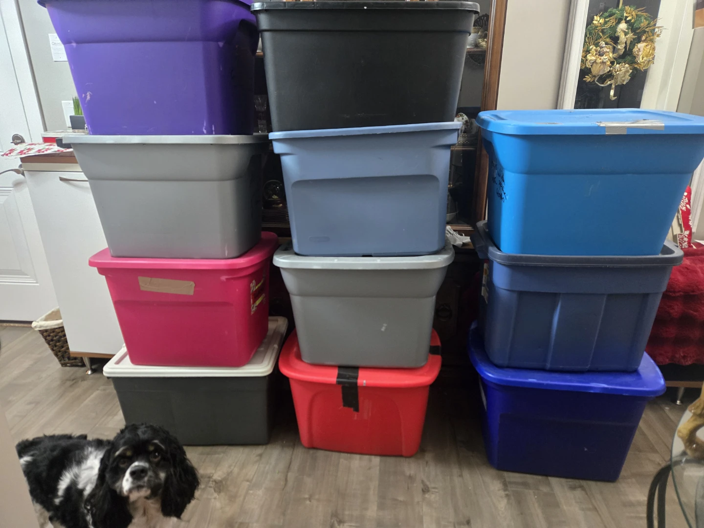 Storage Totes - Assorted Colours