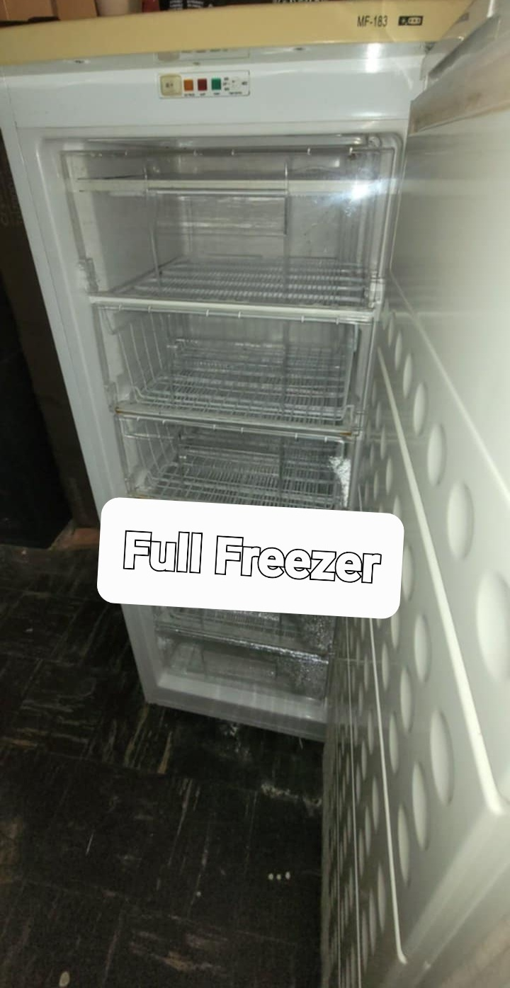 BRADA MF-183 Upright Freezer - photo 3