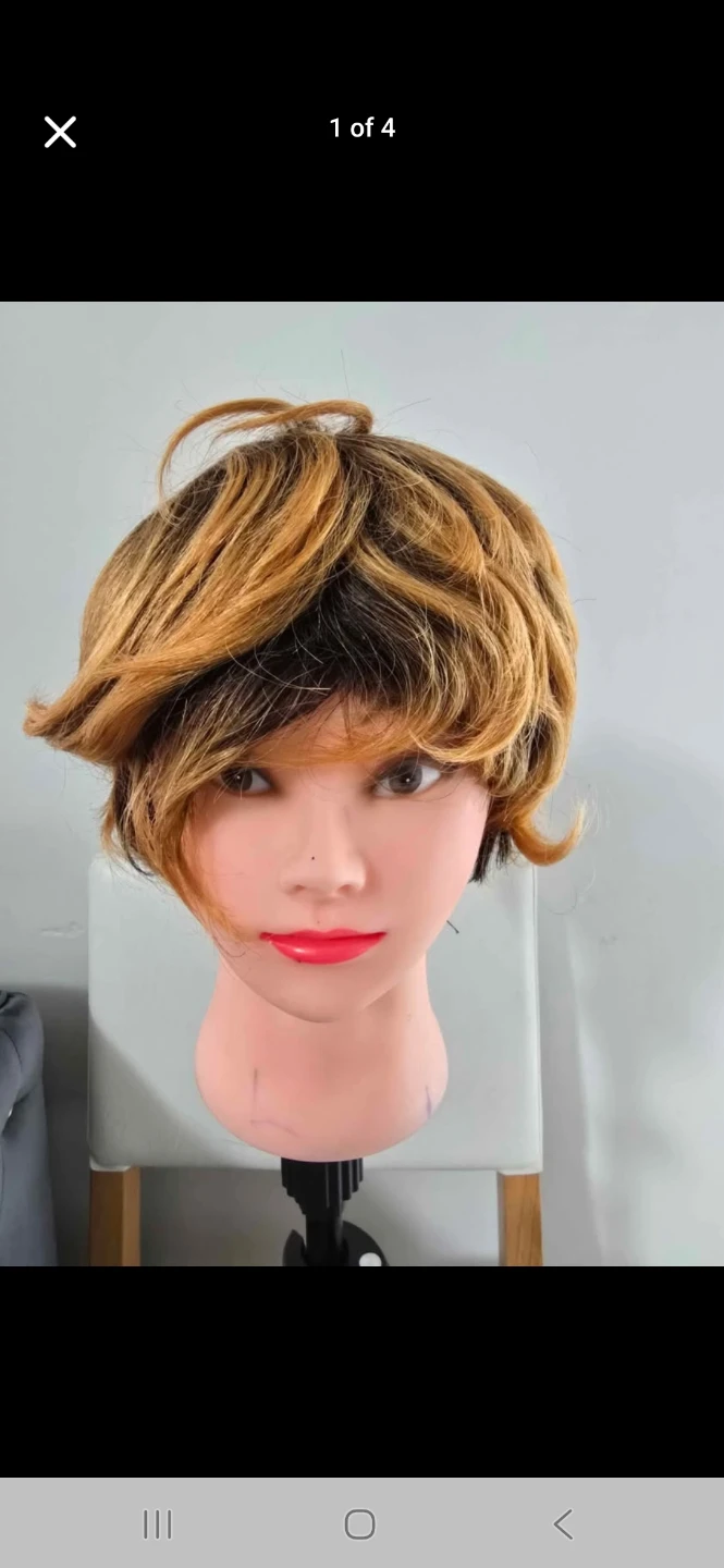 Assorted Wigs - photo 4