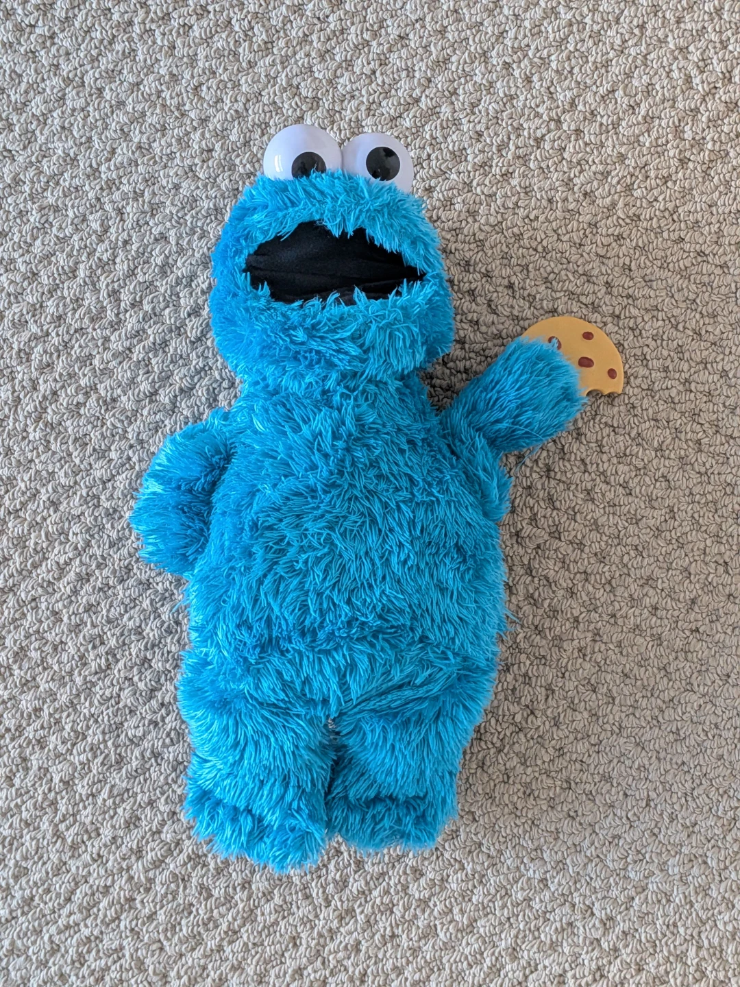 Sesame Street Feed Me Cookie Monster