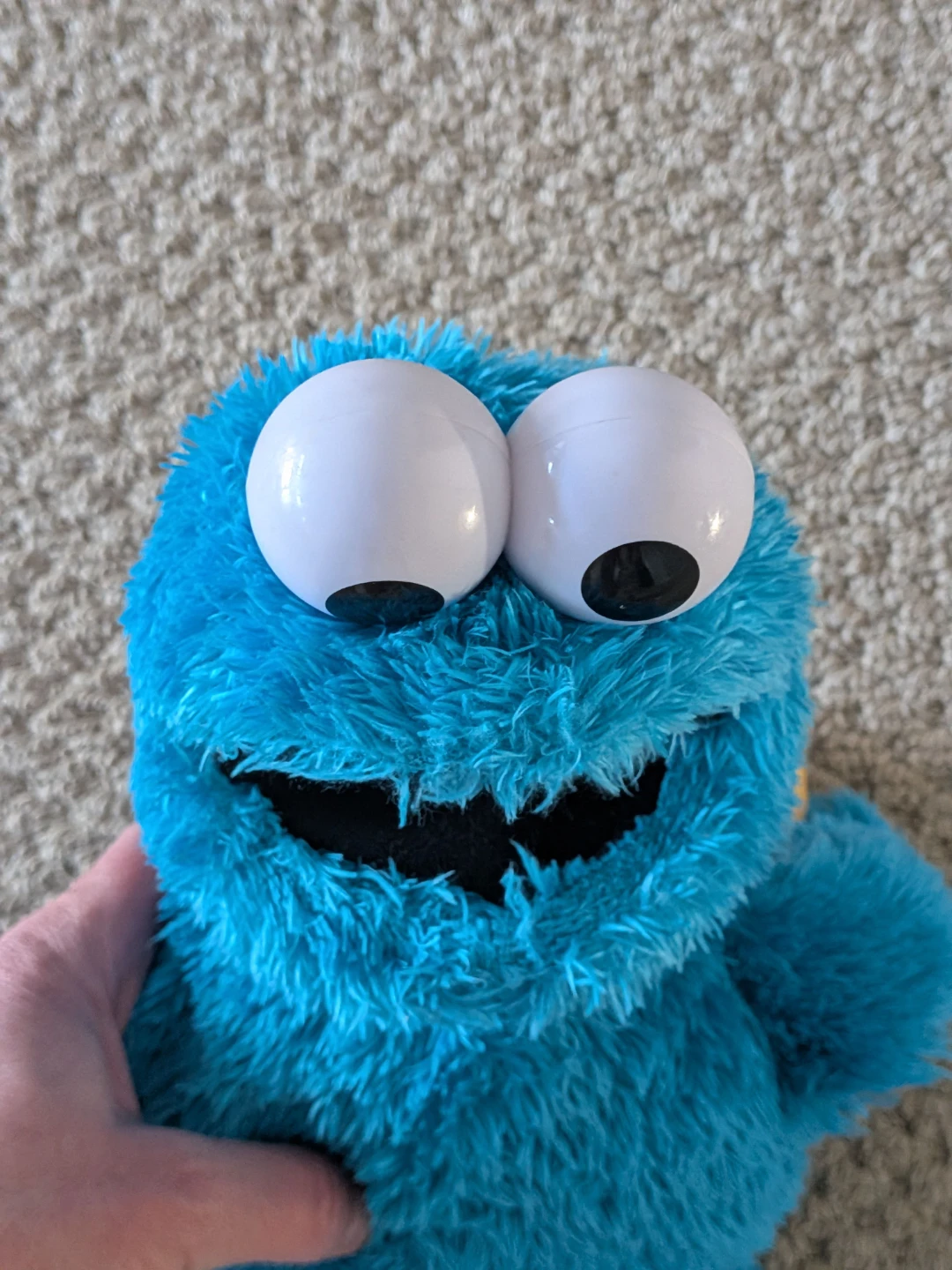 Sesame Street Feed Me Cookie Monster - photo 5