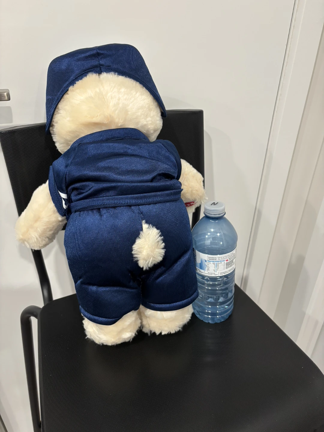 Toronto Maple Leafs Bear - photo 2