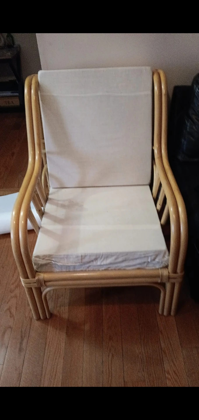 Rattan Armchair with Cushions