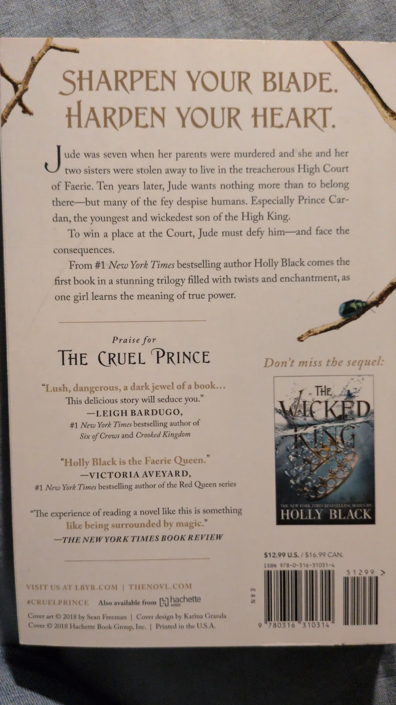 The Cruel Prince & The Wicked King Books by Holly Black - photo 2
