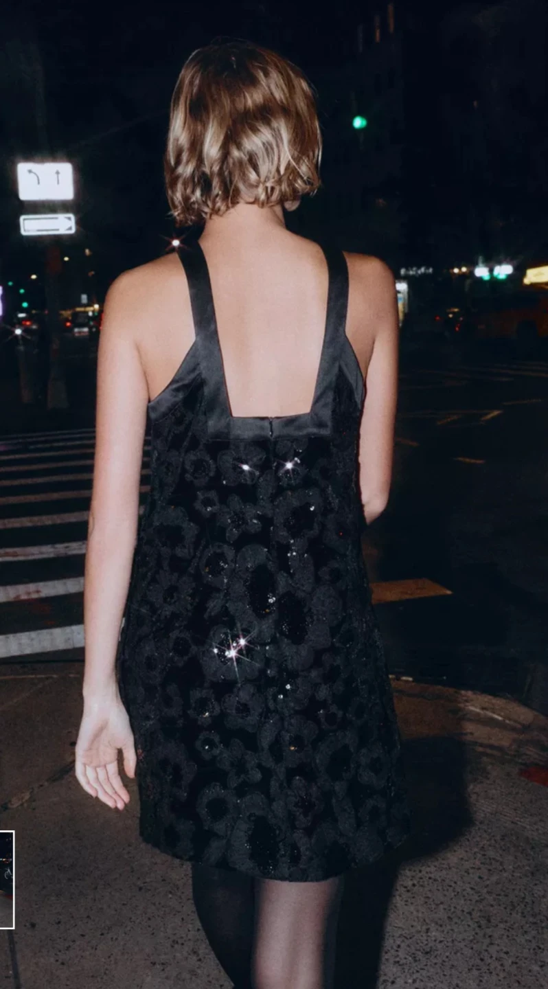 Sequin Mini Zara Dress - photo 4