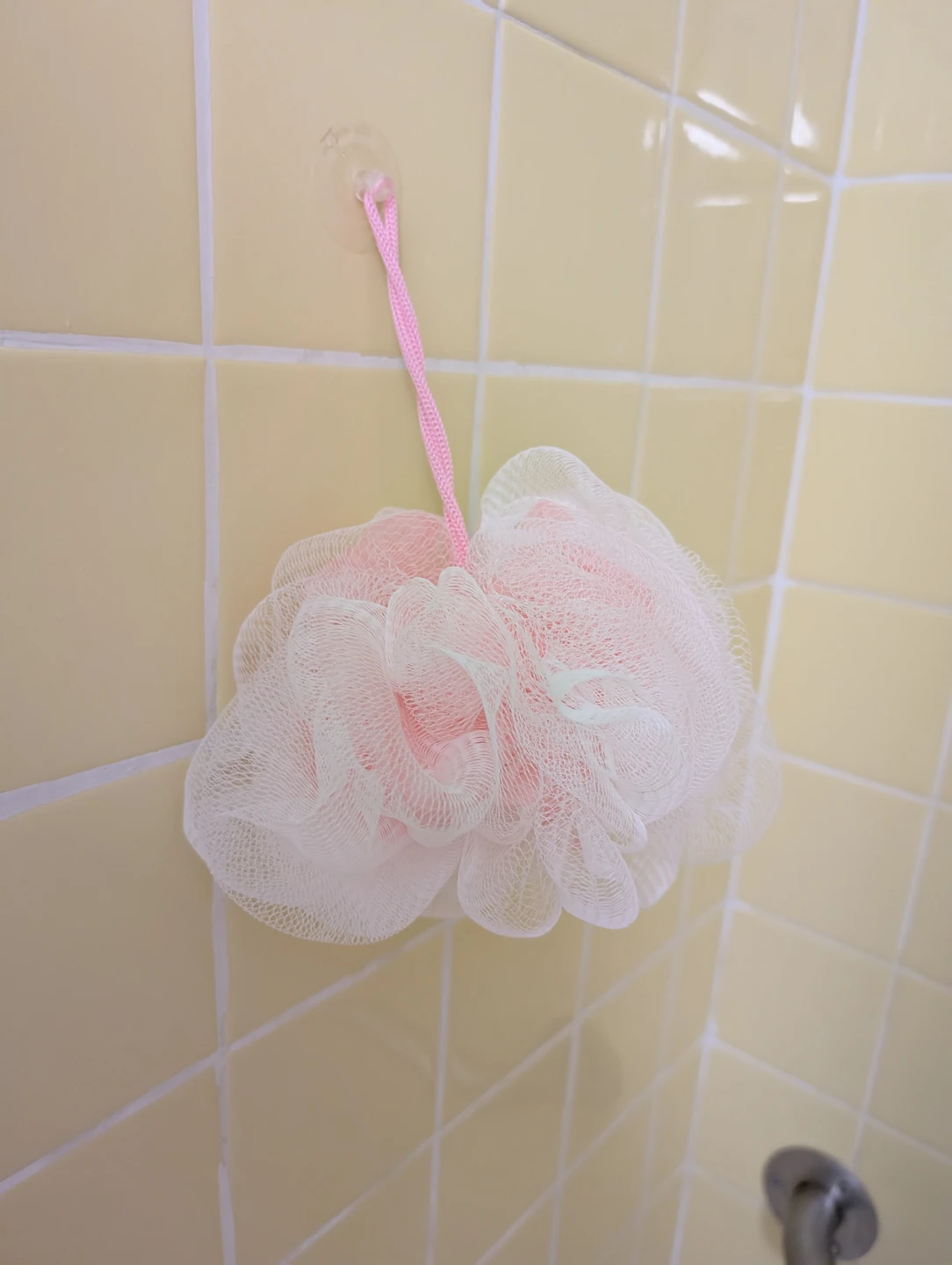Free Mesh Shower Pouf Loofah