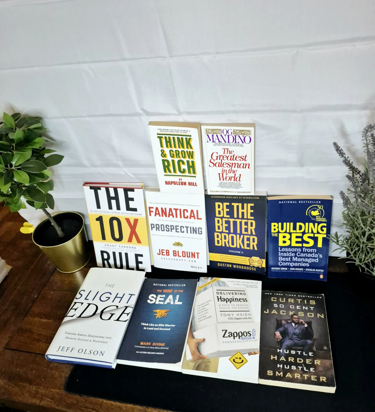 Collection of 10 Business and Self-Help Books