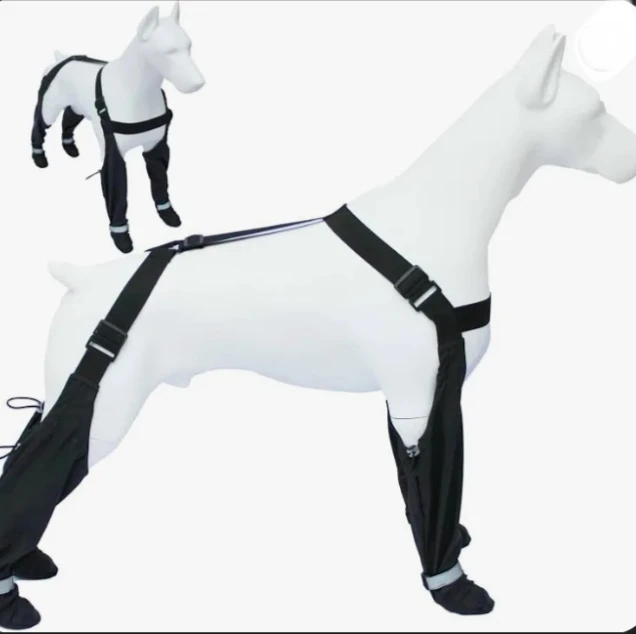 Canada Pooch - Suspender Dog Boots - Multiple Sizes Available - photo 4
