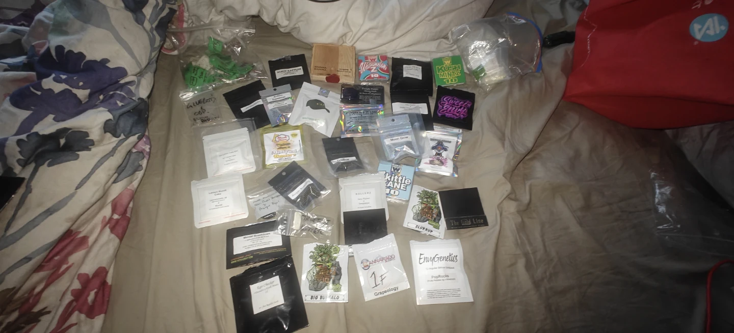 Assorted Seeds - Various Brands