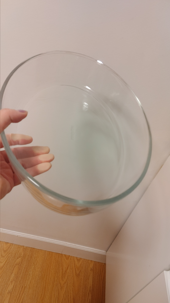 Clear Glass Pyrex Baking Dish