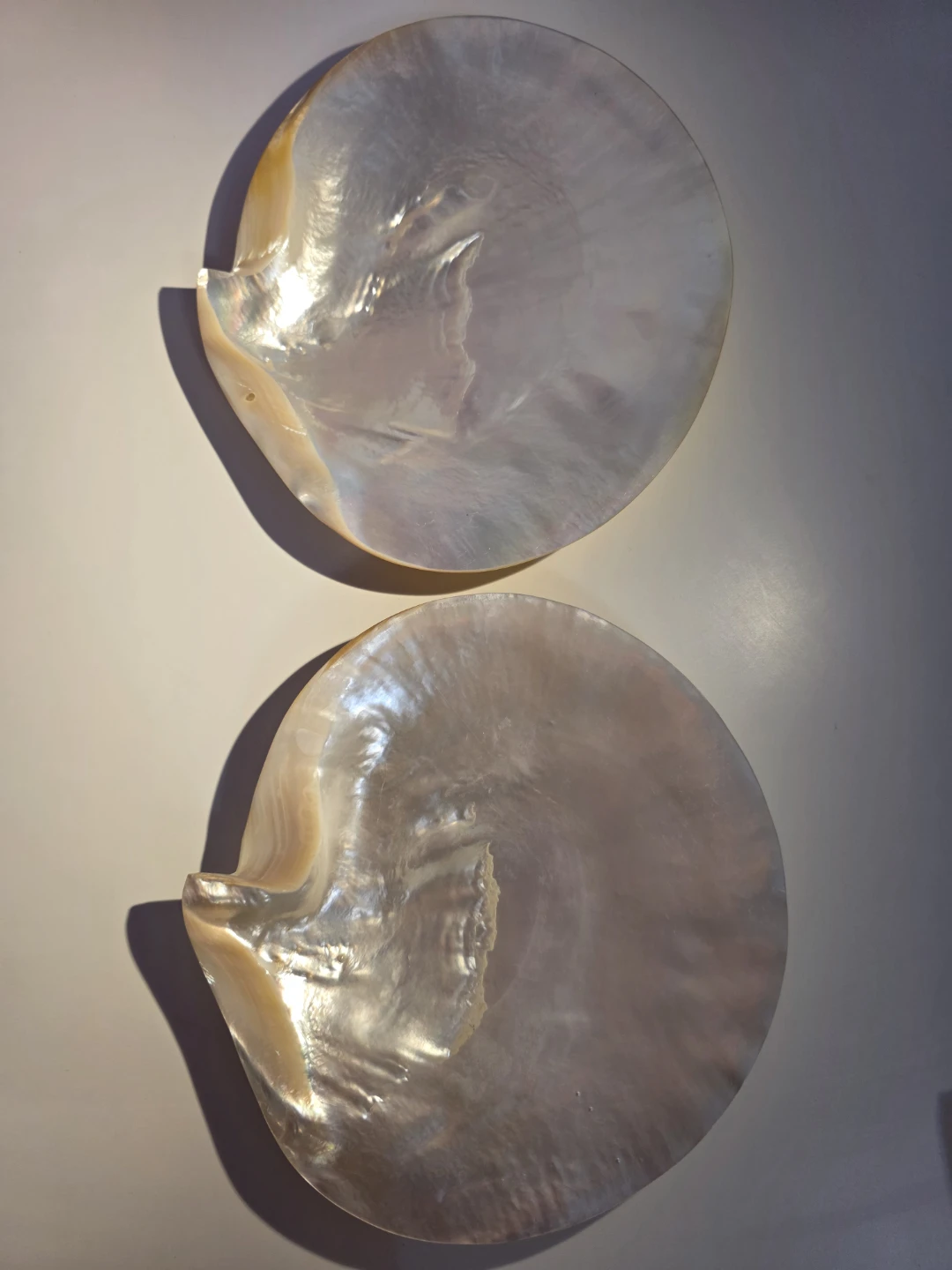 Mother of Pearl Shell Plates set of 2