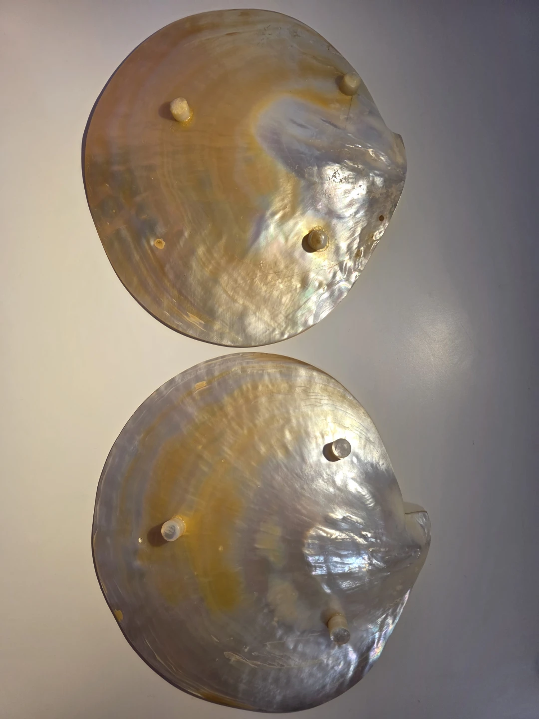 Mother of Pearl Shell Plates set of 2 - photo 2