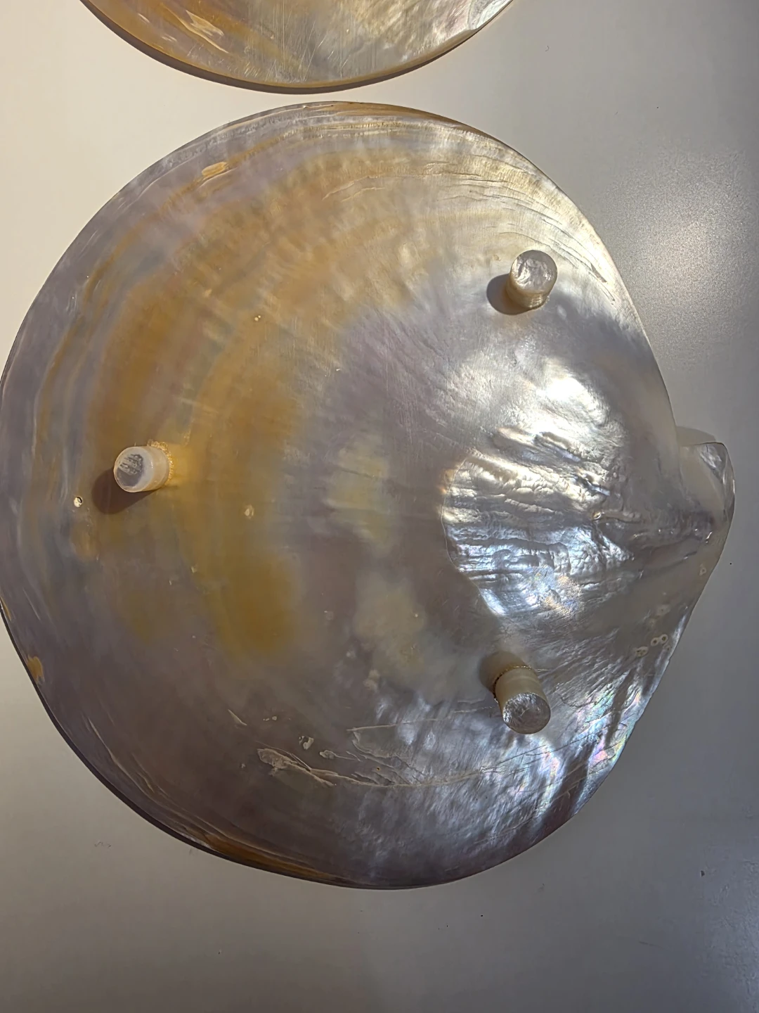 Mother of Pearl Shell Plates set of 2 - photo 3