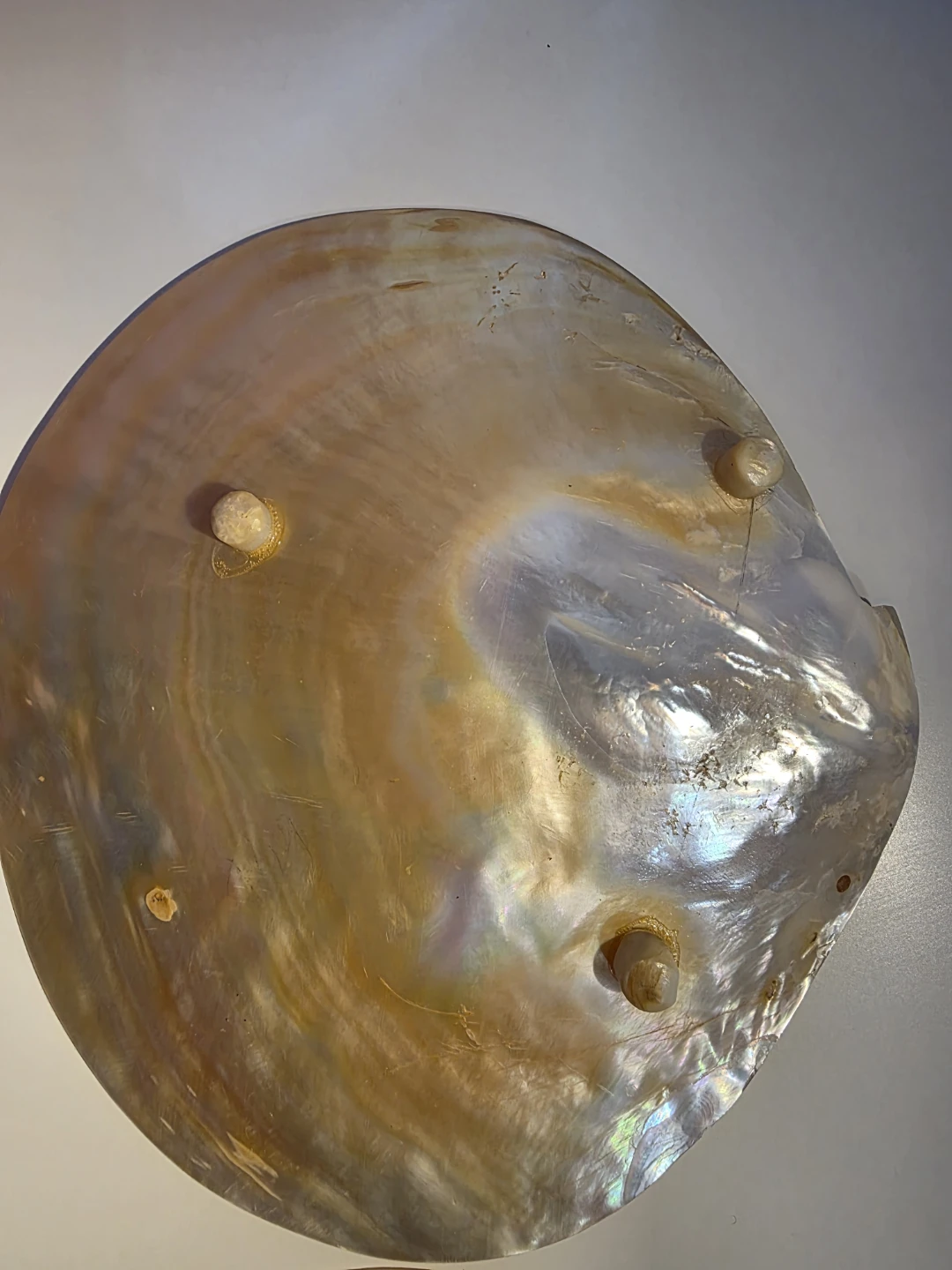 Mother of Pearl Shell Plates set of 2 - photo 4