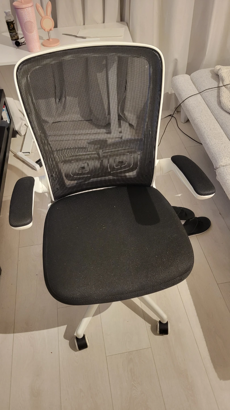 Ergonomic Mesh Office Chair - Black & White - photo 2