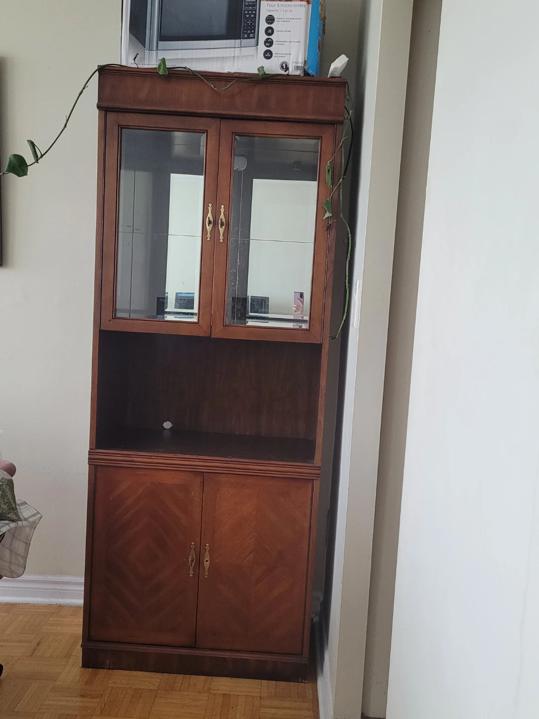Wooden Display Cabinet with Glass Doors