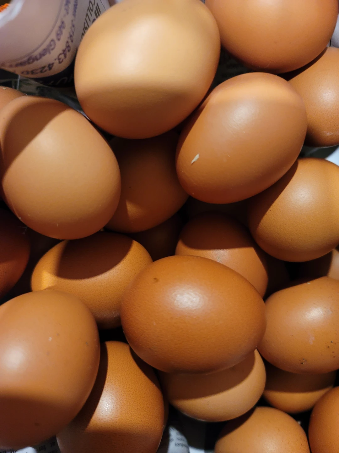 Fresh Organic Brown Eggs