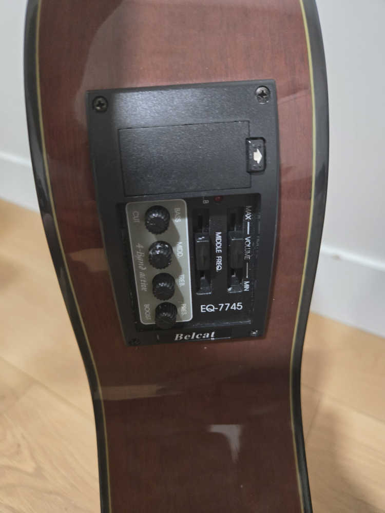 🥕Vintage Valencia Acoustic Guitar - photo 2