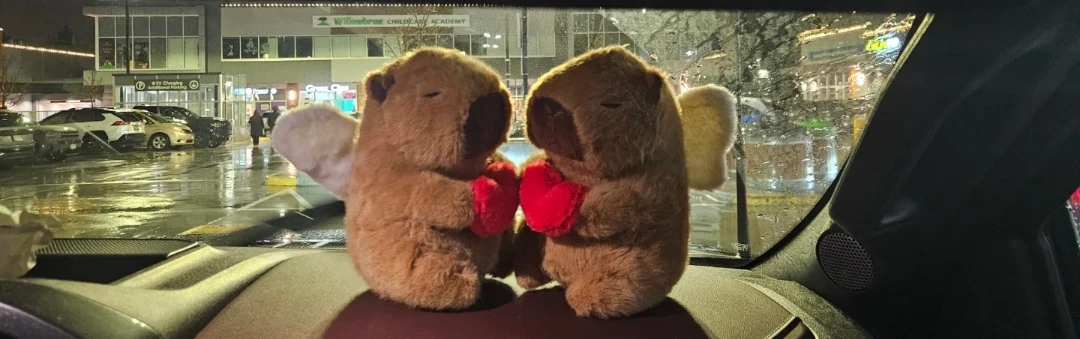 Cute Plush Angel capybara with Heart - photo 4