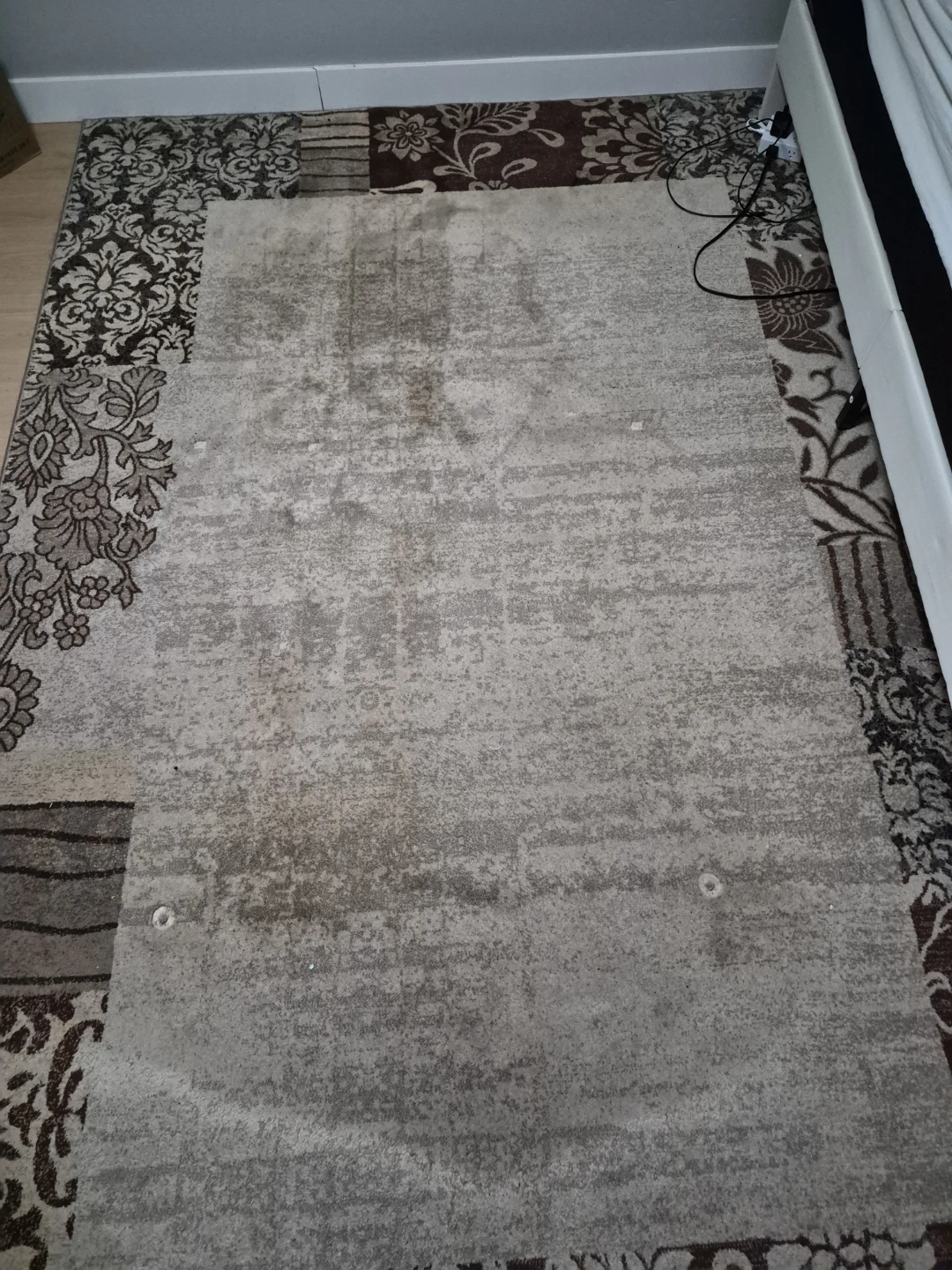 Area Rug - photo 2