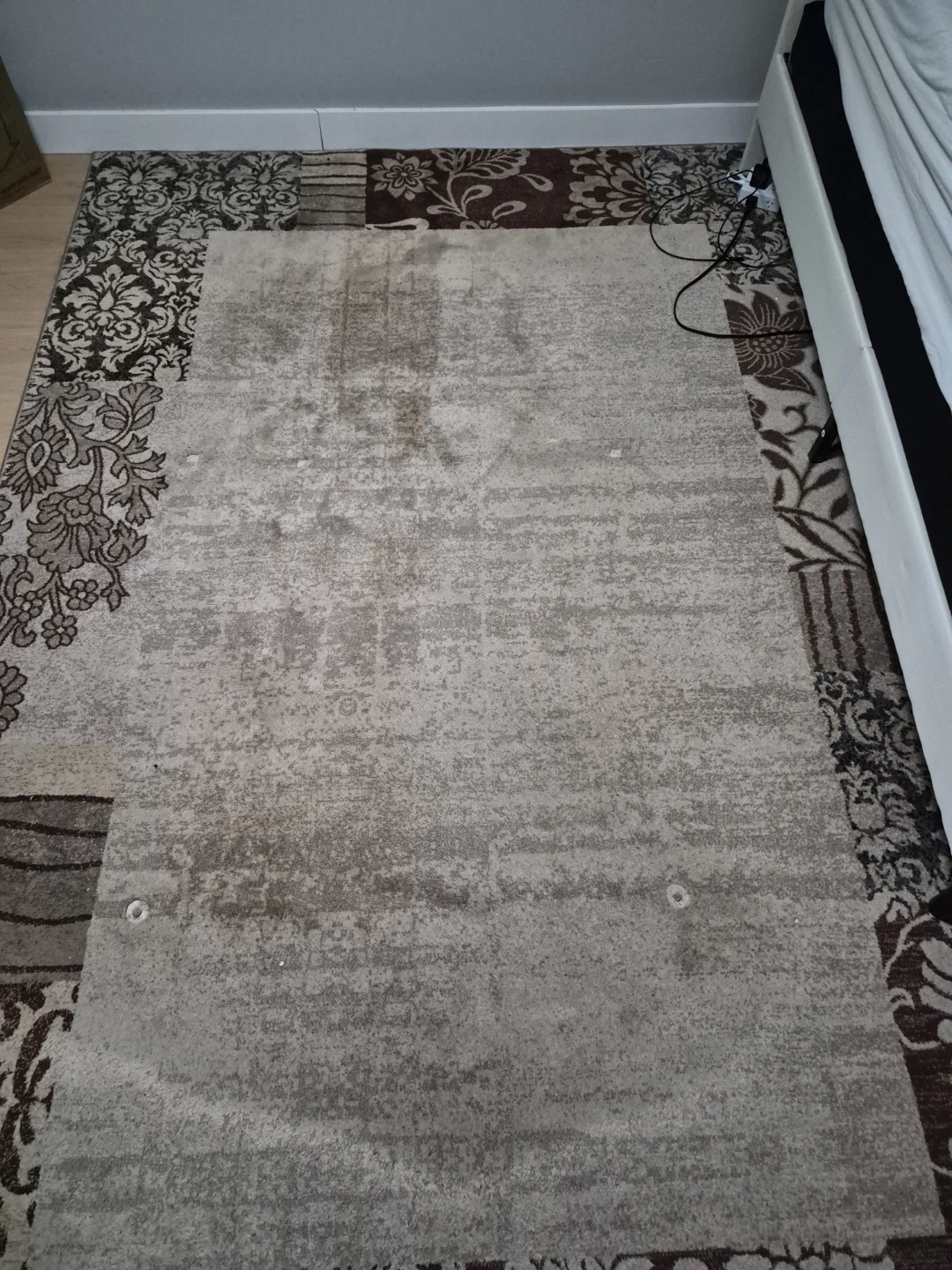Area Rug - photo 4