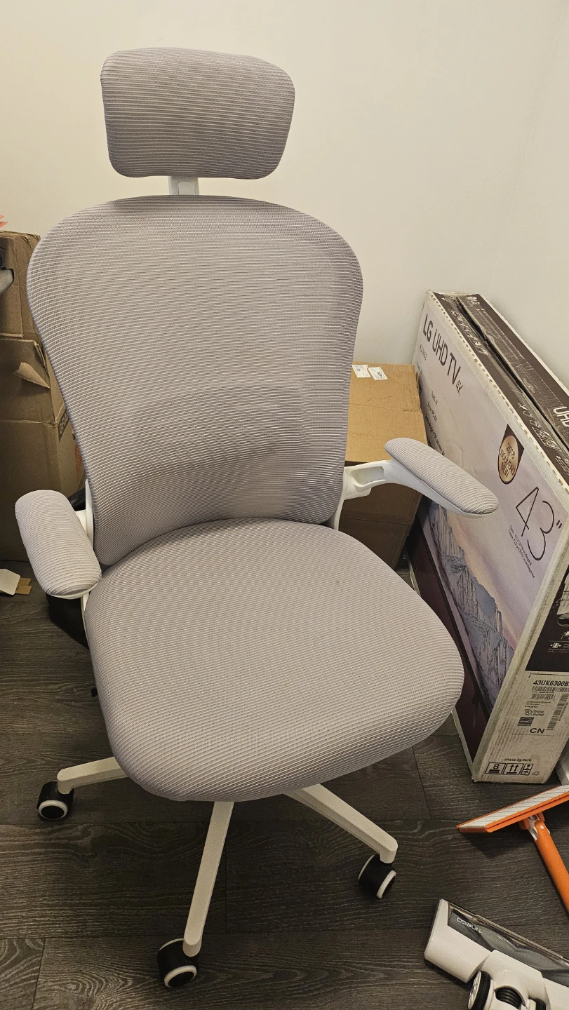 $60 Ergonomic Office Chair with Headrest