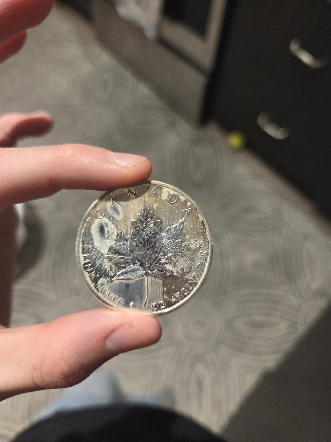2008 Canadian Silver Maple Leaf Coin - photo 3