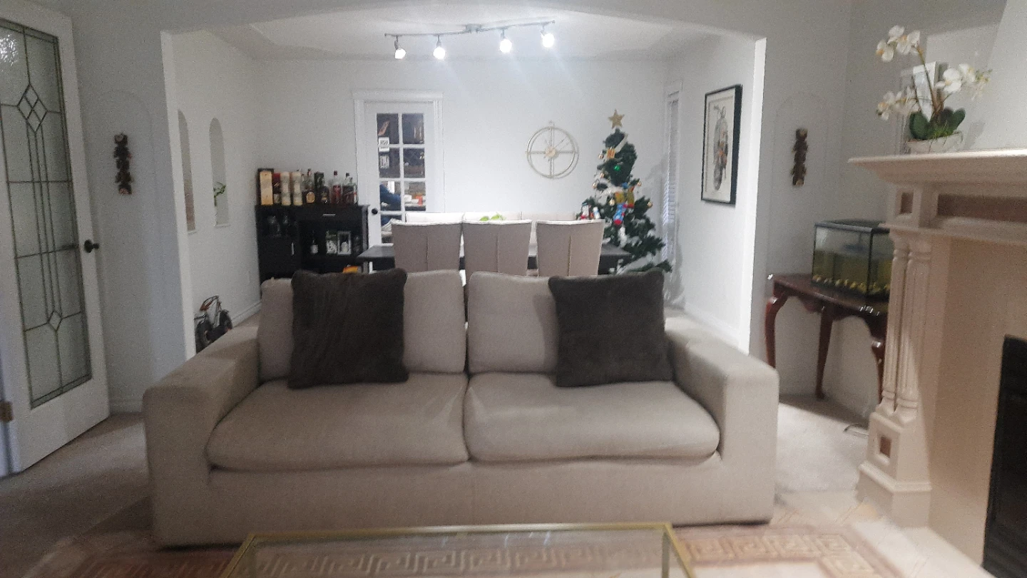 Beige Sofa with Two Dark Throw Pillows - photo 2