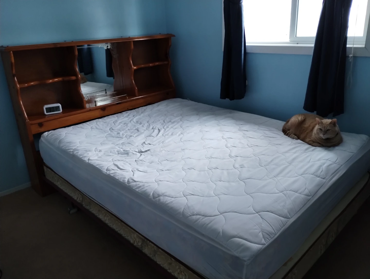 Queen bed and headboard