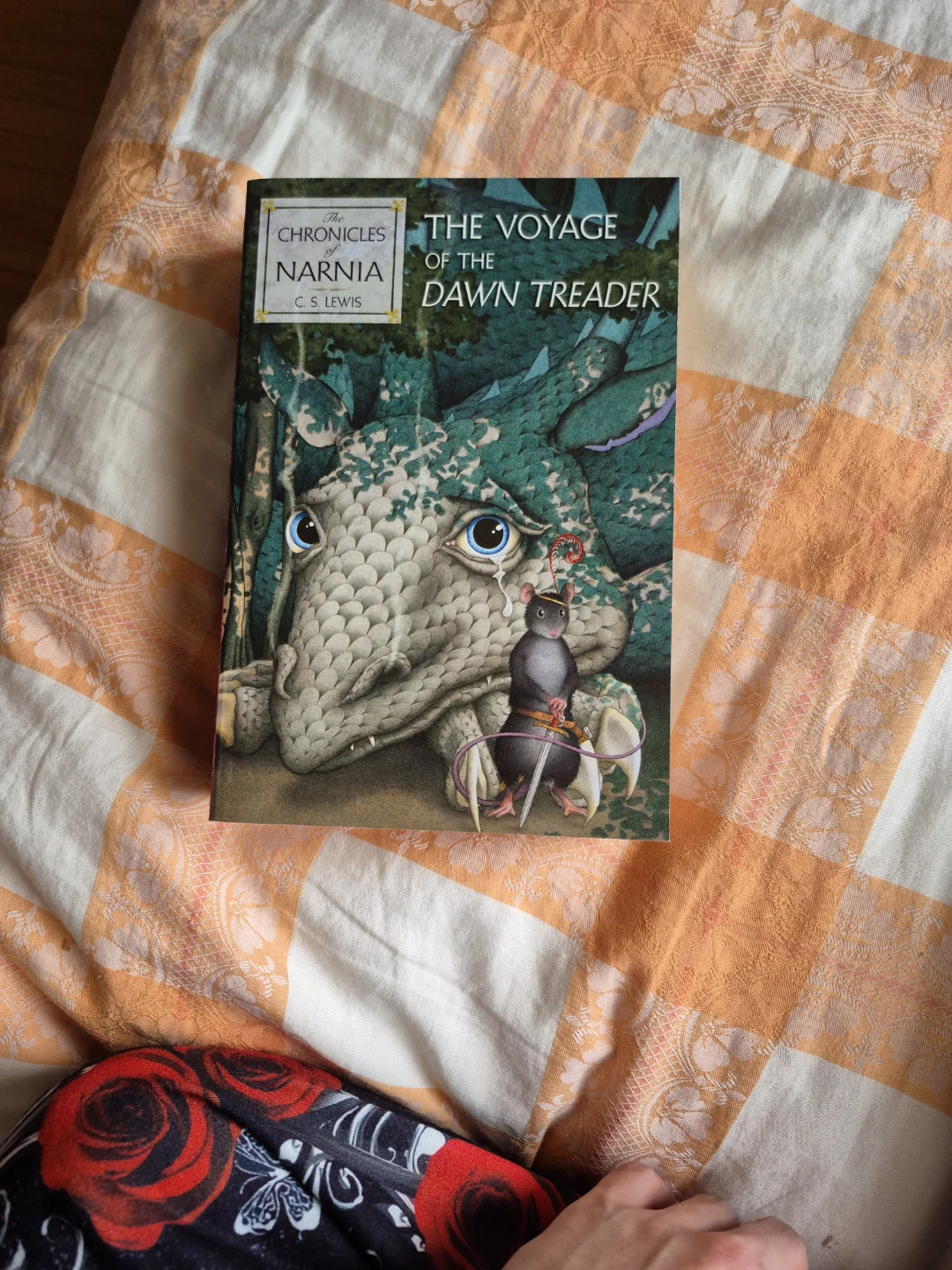 FULL SET; The Chronicles of Narnia Books by C.S. Lewis - photo 5