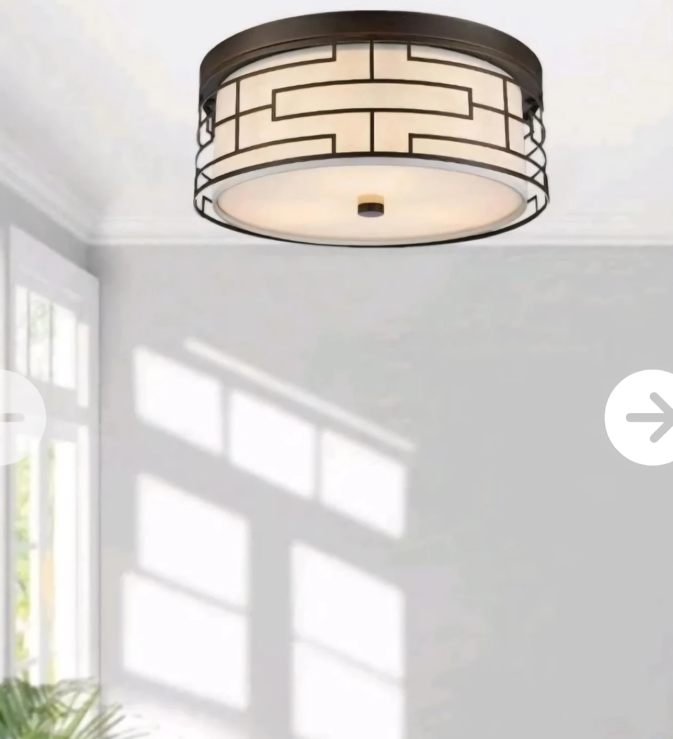 Ceiling light fixture (New in box)