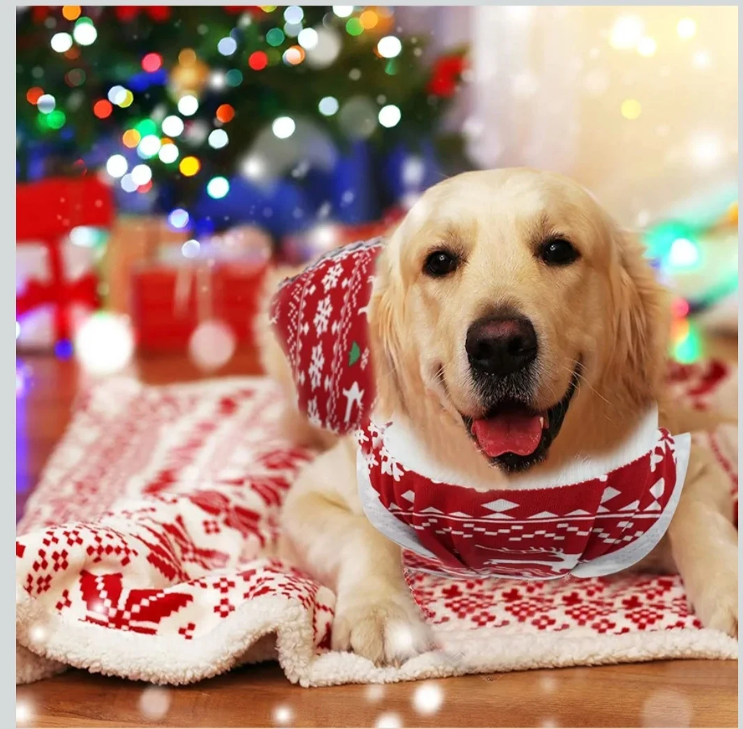 Christmas Reindeer Dog Recovery Suit - Size L - photo 5