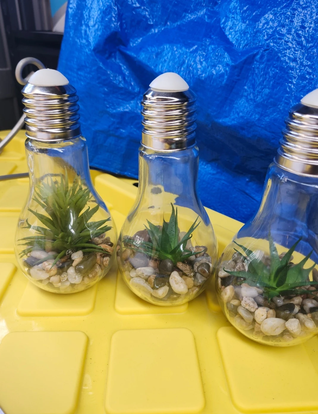 Light up ..Light Bulb Terrariums - Set of 3 - photo 3