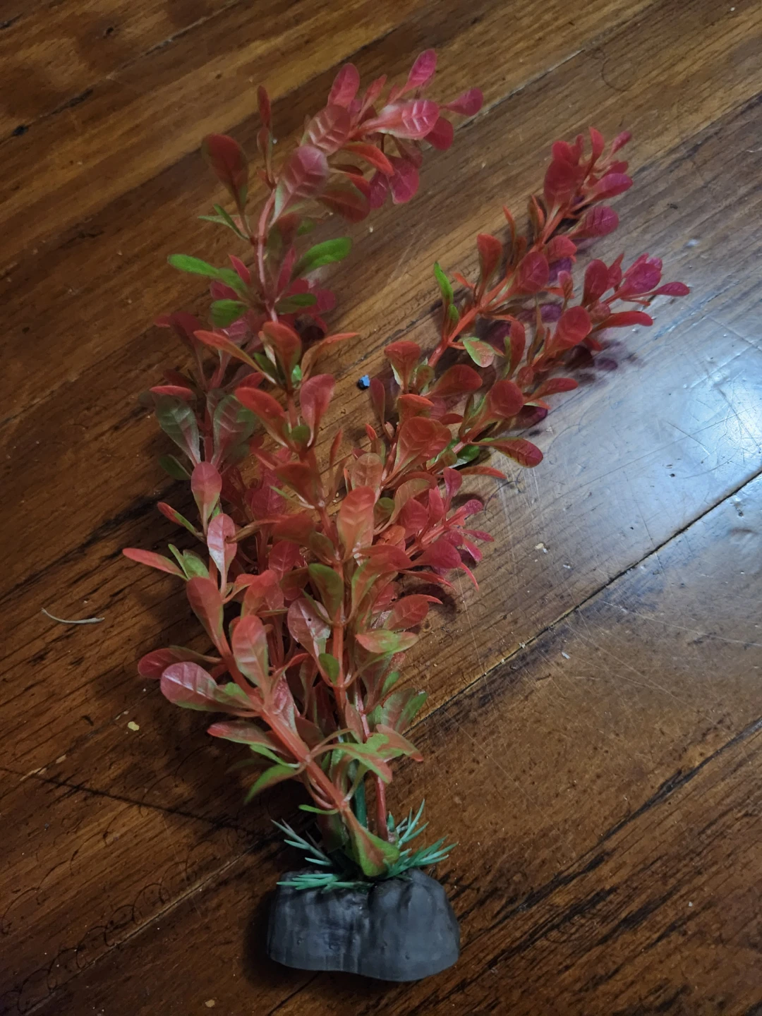 Aquarium Plant Decoration - photo 2