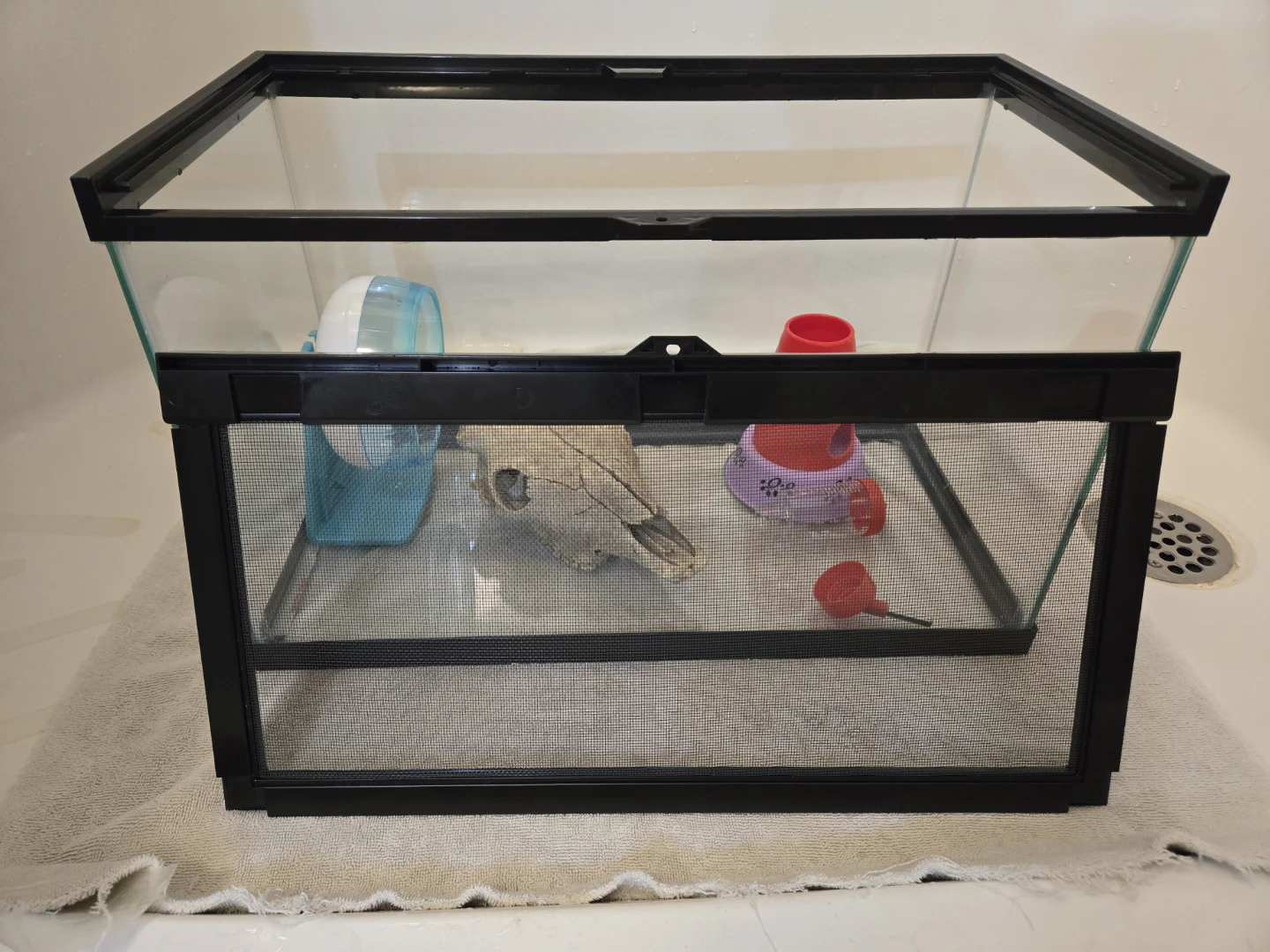 SOLD: Pet Tank, Accessories, & Bedding - photo 2