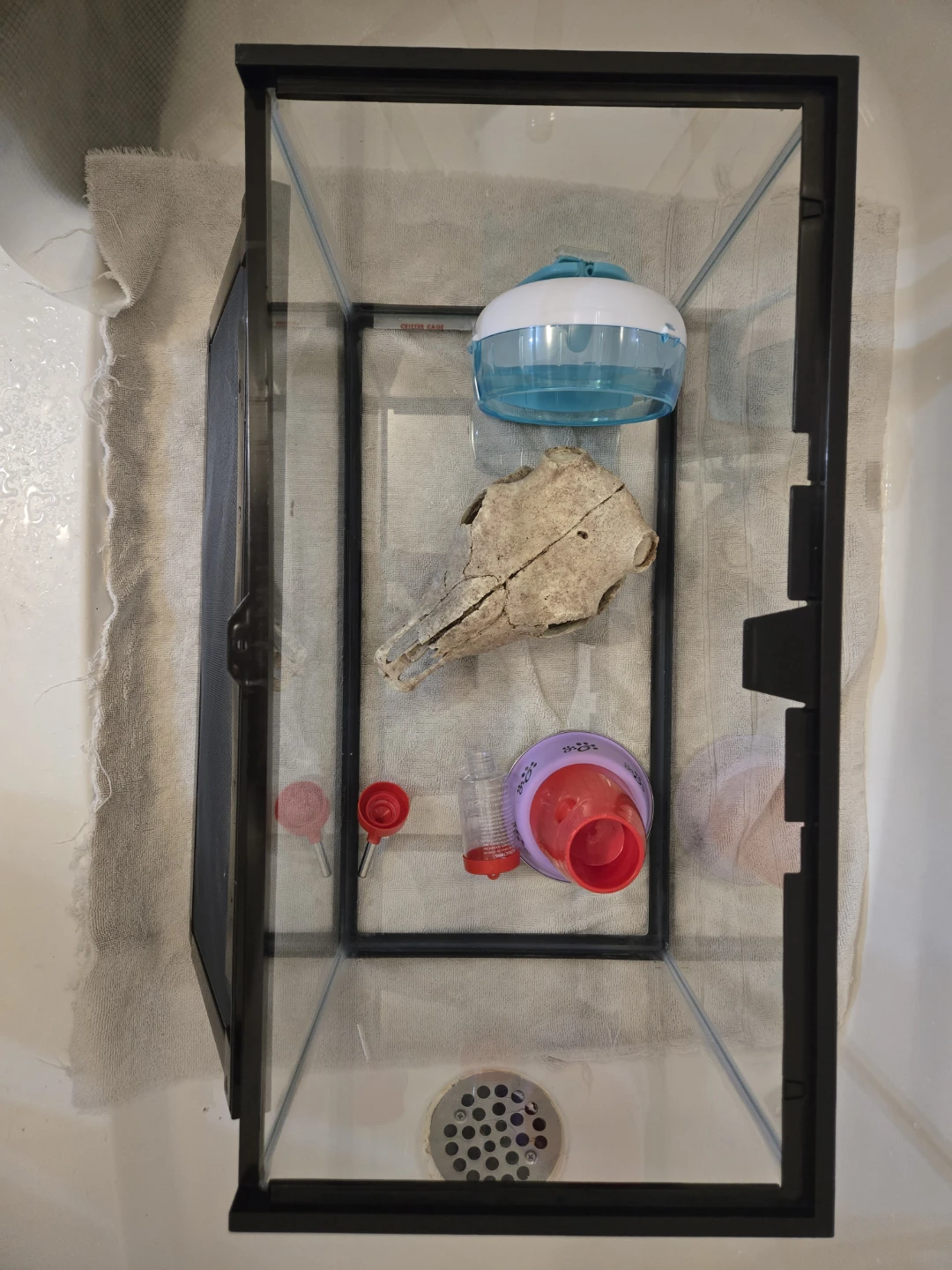 SOLD: Pet Tank, Accessories, & Bedding - photo 3