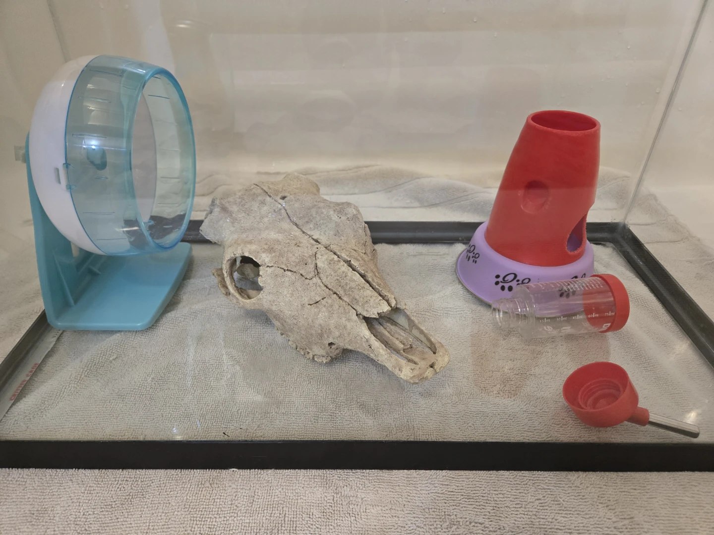 SOLD: Pet Tank, Accessories, & Bedding - photo 4