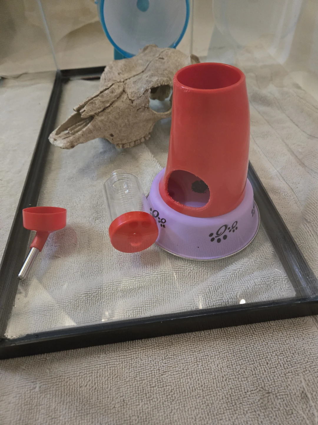 SOLD: Pet Tank, Accessories, & Bedding - photo 5