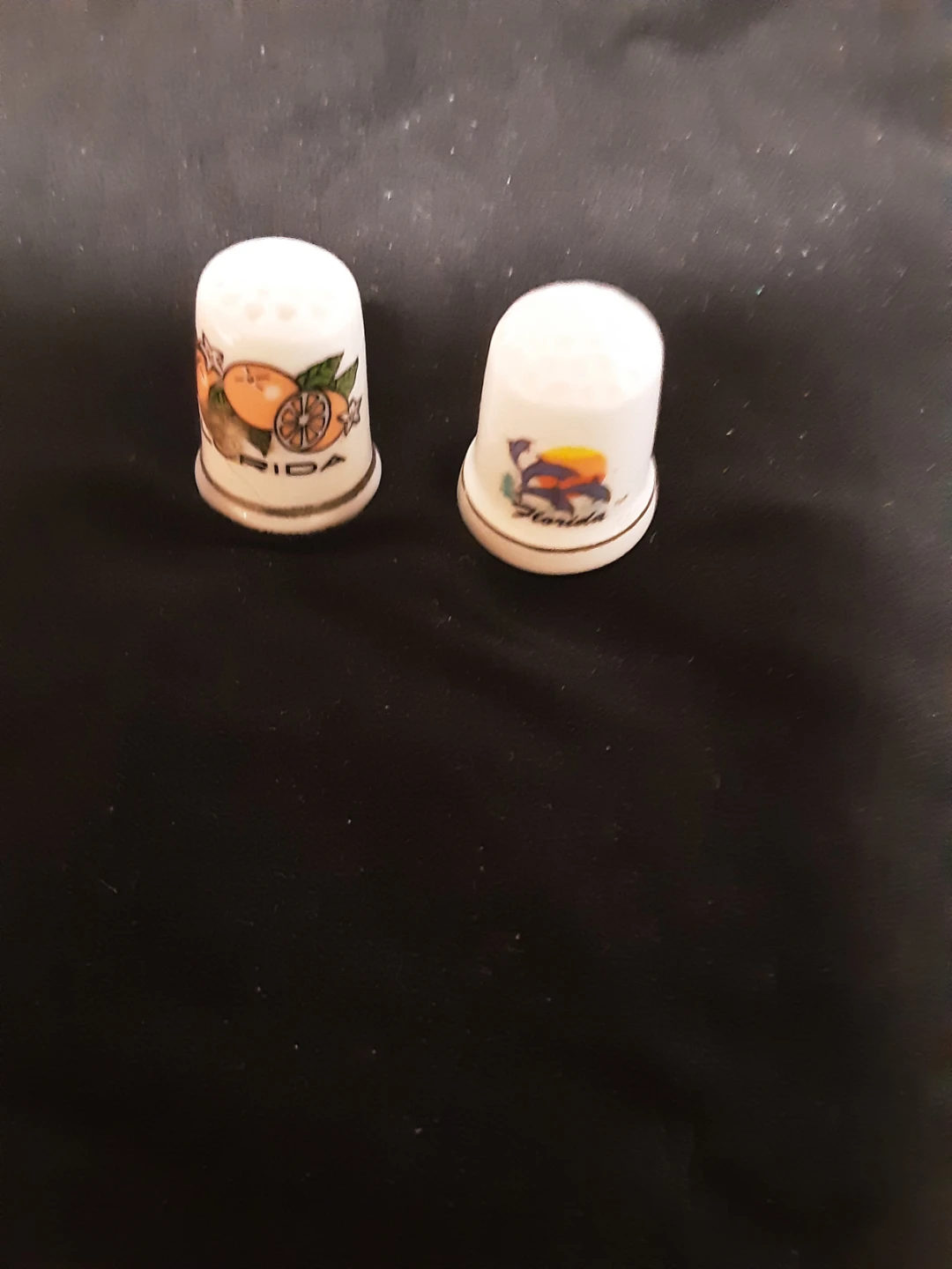 Florida Souvenir Thimbles