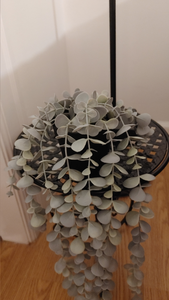 Artificial  Plant in Black Pot - photo 3