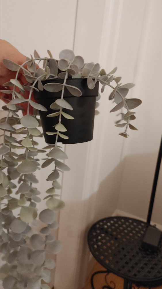 Artificial  Plant in Black Pot - photo 4