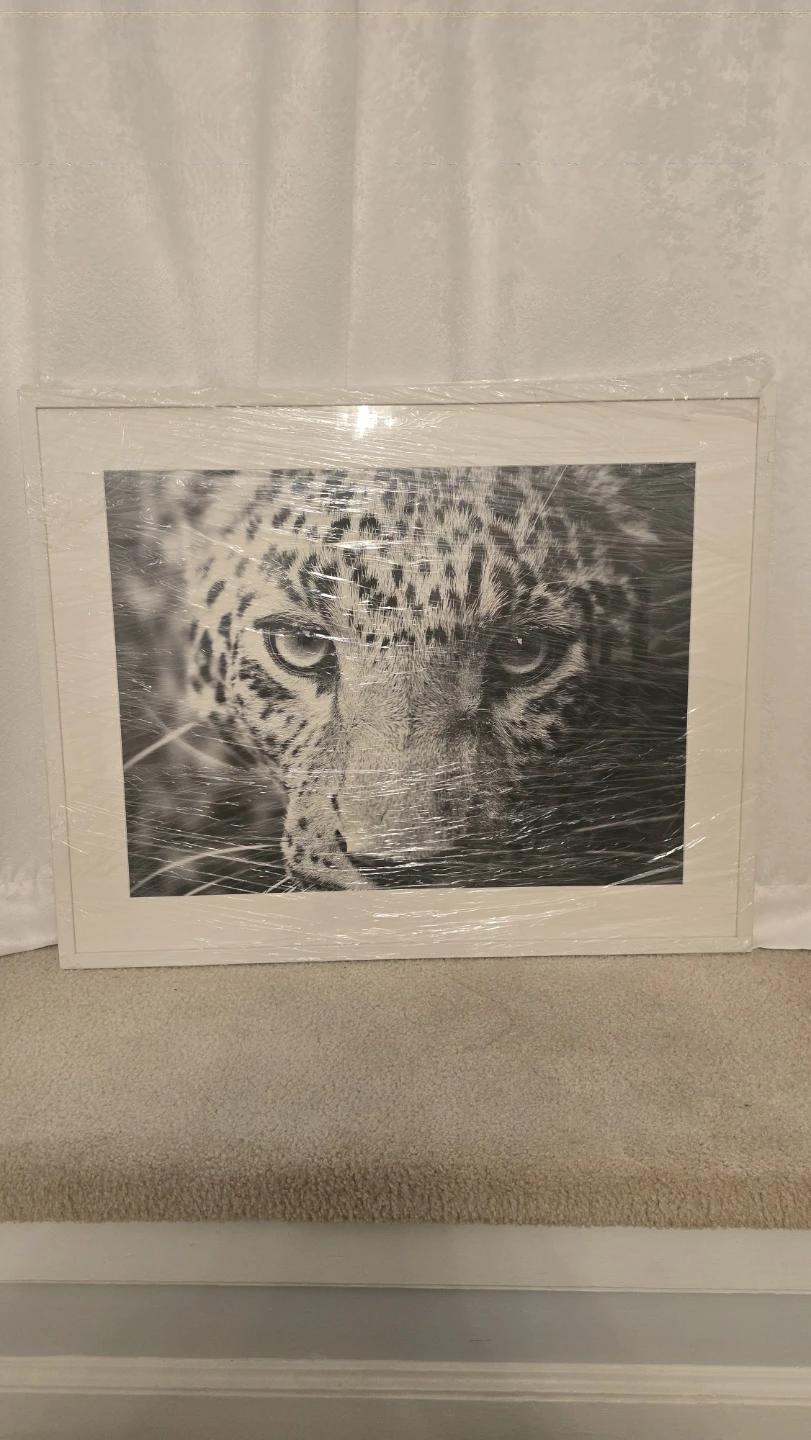 Framebridge Framed Leopard Print