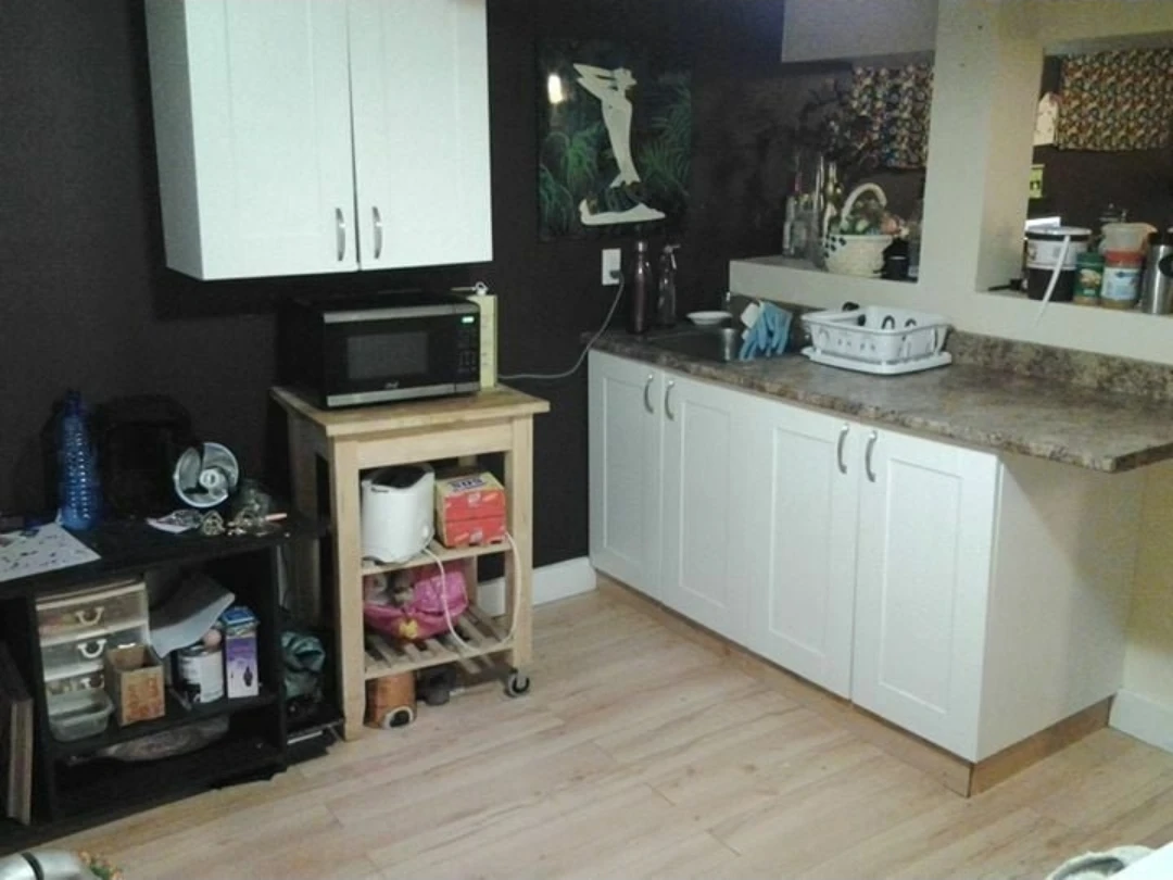 Basement Suite Rental, 1-bdrm. Professionals/Students prefered.
