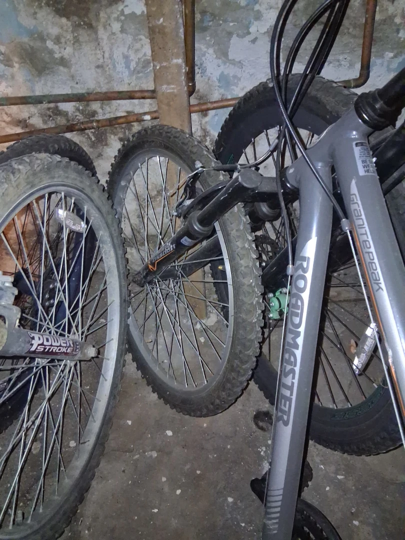 Genesis Villotti Mountain Bike